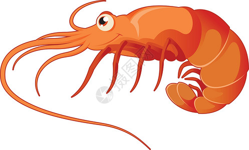 烤的虾红色卡通虾设计图片