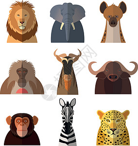 捷豹路虎非洲动物的图标狒狒荒野哺乳动物艺术卡通片丛林收藏斑马鬣狗水牛设计图片