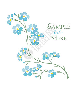 花中情种勿忘我矢量蓝色勿忘我花问候语框架艺术插图绘画野花假期植物花束卡片设计图片