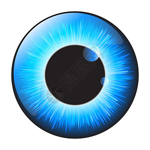 blueBlue iris 眼睛符合实际的矢量组合设计 在白柱上隔离绿色光学白色艺术眼球灰色反射宏观鸢尾花插图设计图片
