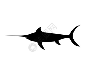 比利时马林诺斯犬箭鱼图标卡通片徽章蓝色动物白色快乐野生动物荒野跳跃钓鱼设计图片