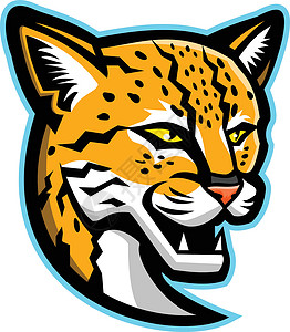玛尔盖头马斯库特学校团队吉祥物运动品牌动物插图野猫黑豹宠物设计图片
