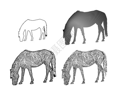 白底动物素材白底食草的马匹一行艺术农场插图动物草图马术绘画曲线场地家畜鬃毛设计图片