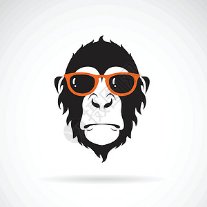 穿着衣服的猴子在白色背景上戴着眼镜的猴子头的向量 会设计图片