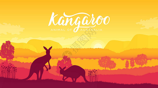 王者荣耀小乔在风景自然背景的澳大利亚袋鼠 野生动物在其自然栖息地 日出矢量图设计图片