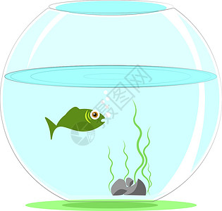 碗水白色背面灰色的简单卡通水族馆鱼类矢量插图设计图片