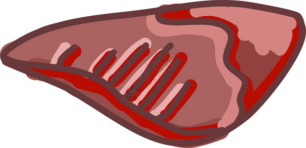 牛肉上脑白色背景上的红肉插画矢量羊肉食物猪肉产品火腿插图香肠小吃肉类牛肉设计图片