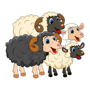 双羊肉农场动物组家庭 白色羊羔黑色 ram desi设计图片