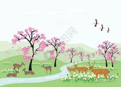休息的鹿成群的鹿在长长的溪流的绿色草地上的樱桃树下休息 以白色的天空为背景设计图片