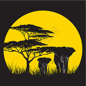 野性太阳非洲设计图片