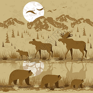 西伯利亚雪橇犬加拿大的风景有山林和riversunset的 驼鹿和熊走路 鸟儿在飞翔 无缝模式设计图片