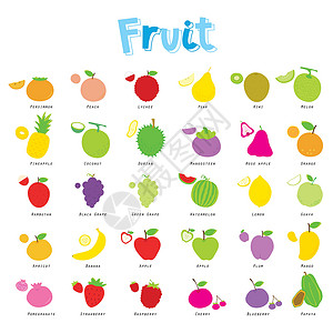 喜鹊吃柿子一套夏季水果和健康食品有机卡通 Vecto柠檬榴莲山竹市场李子卡通片食物西瓜木瓜橙子设计图片