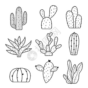 沙漠图标PotCartoon 矢量中的仙人掌和植物集肉质涂鸦植物学沙漠植物群卡通片叶子植物绿色花盆设计图片
