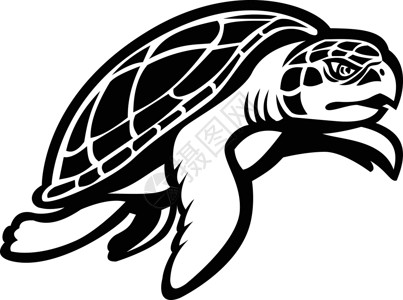 水生动物Kemp'海龟游向右马斯科特黑白设计图片