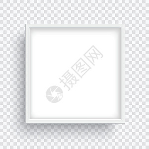 白百合花摄影在透明背景中隔离的白方格框设计图片