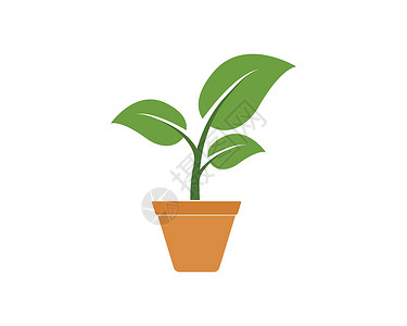 抄本安装在锅点图标徽标矢量插图设计中的工厂中收藏花盆生长绿色芦荟林木植物白色园艺植物群设计图片