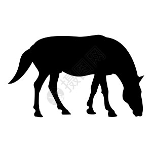 黑色轮廓剪影骏马马术马种马纯种野马黑色矢量插图平面样式 imag设计图片