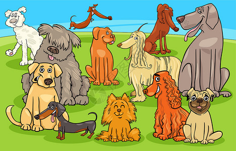 纽芬兰卡通纯种狗和小狗人物组设计图片