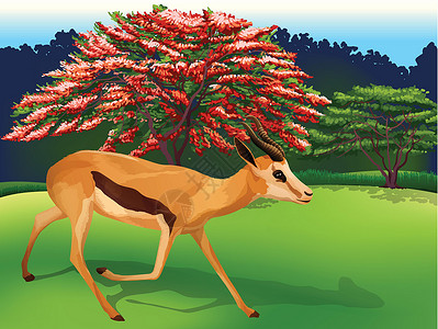 北红尾鸲雌鸟迪伊麋鹿苔原哺乳鹿角食草热带雨林骡鹿科学动物驼鹿设计图片