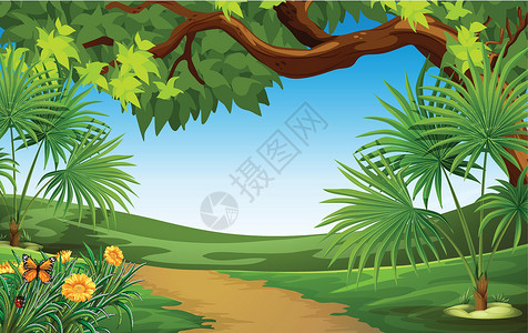 花间小路美丽的风景树木地面编队绿色植物动物植物绘画栖息地礼物棕榈设计图片