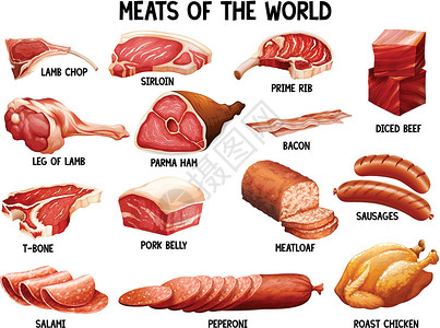 红肉甜橙世界之肉热狗卡盘羊排红肉产品小吃材料肉类牛肉火腿设计图片