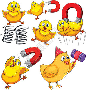 砂锅笋干鸡图片鸡黄色食肉母鸡野生动物荒野派对动物磁铁白色两极设计图片