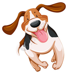 狗接飞盘顽皮的小狗男人手指白色耳朵家庭友谊跑步棕色伴侣最好的朋友设计图片
