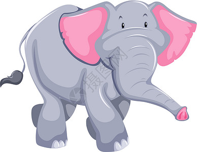 大象特写大象哺乳动物丛林动物绘画生物动物园森林卡通片墙纸白色设计图片