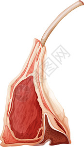 劈印章林猪肉小吃美食红肉绘画牛扒羊肉白色卡通片牛肉设计图片