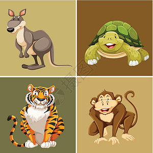 龟老虎棕色背景上不同类型的动物设计图片