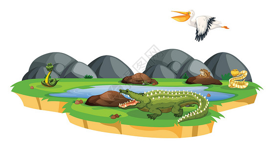 涠洲岛鳄鱼山自然界中的动物哺乳动物场地插图卡通片夹子青蛙艺术野生动物荒野绘画设计图片