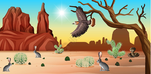 北红尾鸲雌鸟白天场景中有岩石山脉和沙漠动物景观的沙漠卡通片植物荒野旅行爬虫卵石插图生物假期拨浪鼓设计图片