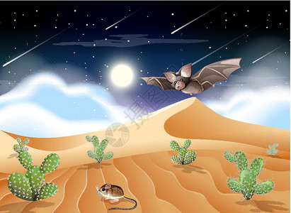 仙人球花沙漠与沙山和仙人掌景观在夜景蝙蝠绘画动物岩石插图天空哺乳动物场景风景公园设计图片