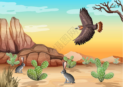 北红尾鸲雌鸟沙漠与岩石山脉沙漠动物景观在白天场景卡通片岩石环境旅行公园插图天气石头绘画荒野设计图片