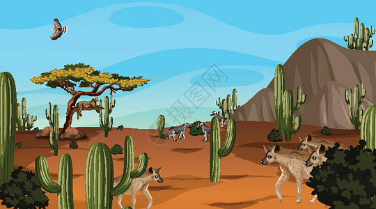沙漠中的仙人掌白天场景中的沙漠森林景观与 willd 动物生物哺乳动物环境绿洲艺术荒野峡谷卵石岩石天空设计图片