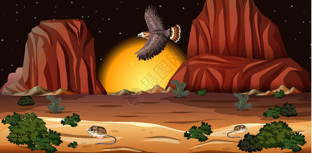北红尾鸲雌鸟有岩石山风景的沙漠在夜景旅行黑暗卵石假期公园哺乳动物场景植物天空卡通片设计图片