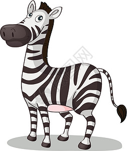 斑马元素斑马图案黑色野生动物哺乳动物婴儿条纹白色荒野卡通片孩子们动物设计图片