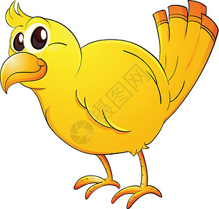 站立黄色小鸟黄鸟孩子们尾巴黄色动画插图微笑动物羽毛绘画白色设计图片
