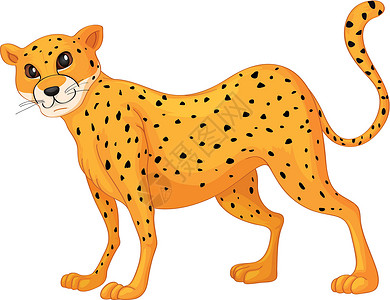 猎豹情调异国卡通片斑点大猫猫科豹属草图胡须哺乳动物设计图片