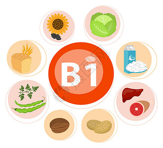 清炒豆芽信息图表集维生素 B1 和有用的产品菠菜 胡萝卜 坚果 杏 花椰菜 洋葱 豌豆 甜菜 土豆 健康的生活方式和饮食矢量概念设计图片