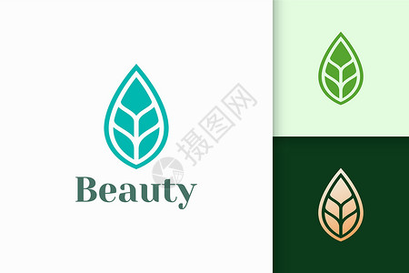 绿色美容抽象干净的叶形中的美容或健康标志设计图片