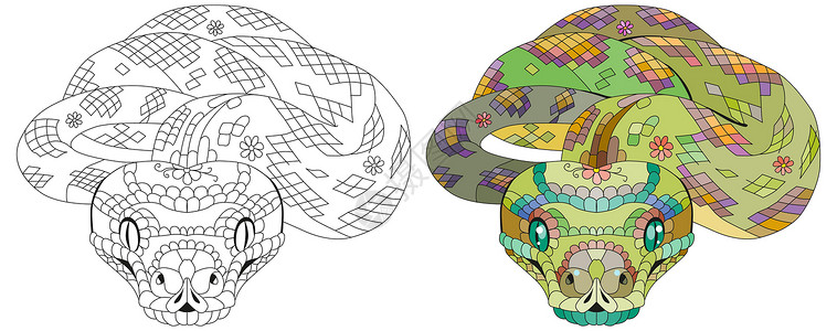 店铺页头Zentangle 蛇 手绘装饰矢量图绘画纠纷店铺插图艺术禅绕爬行动物涂鸦荒野成人设计图片