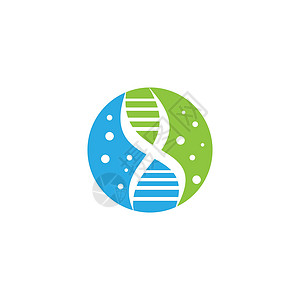 DNA 标志矢量染色体公司标识生物学细胞生物基因螺旋原子插图基因组高清图片素材