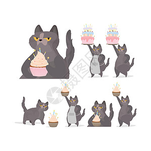 拿着洒水壶猫一组有趣的猫拿着节日蛋糕 糖果奶油松饼节日甜点糖果 适用于卡片衬衫和贴纸 矢量平面样式幽默样子食物小猫火焰工作室友谊宠物爪子蛋糕设计图片