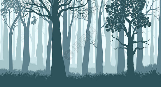 多雾路段有雾的森林 迷雾森林中树木的轮廓 深蓝色景观 韦克托设计图片