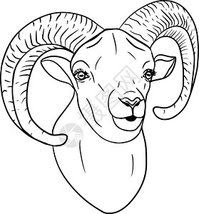 羊手绘羊 手绘牛动物放牧矢量图 农场宠物 和设计的插图 农场动物素描写实风格的剪贴画内存卡通片墙纸艺术羊肉绘画哺乳动物纺织品食物卡片设计图片