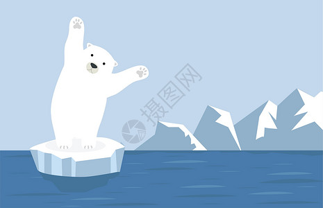 与北极熊玩耍与北极熊的北极北极风景设计图片