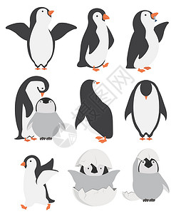 哺乳姿势快乐的企鹅和小鸡角色 不同姿势组合设计图片