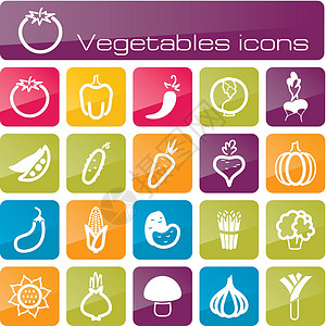 应季产品图标设置蔬菜向日葵辣椒玉米壁球收藏食物插图韭葱健康季豆设计图片