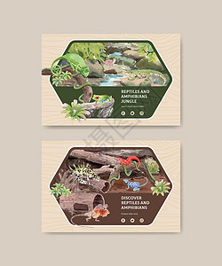 迷你动物园带有爬行动物和两栖动物概念 水彩色风格的Facebook模板情调动物园水彩手绘互联网皮肤捕食者广告荒野蜥蜴设计图片